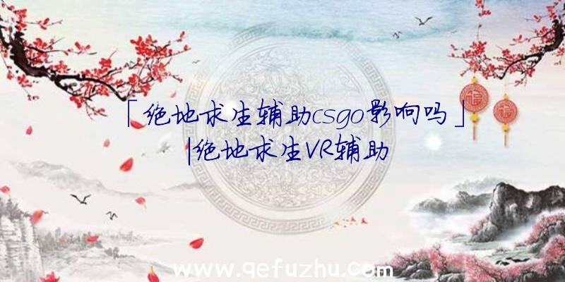 「绝地求生辅助csgo影响吗」|绝地求生VR辅助